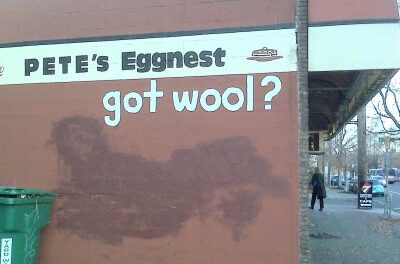 ‘Got wool?’ More like ‘got wha?’