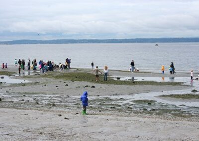 Carkeek and Golden Gardens beaches to be monitored for bacteria