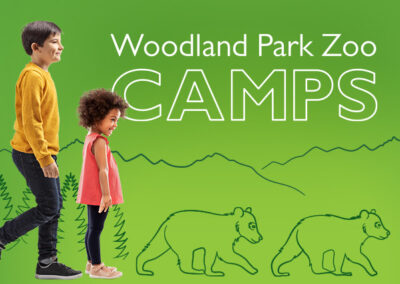 Woodland Park Zoo opens early registration for Summer Camps