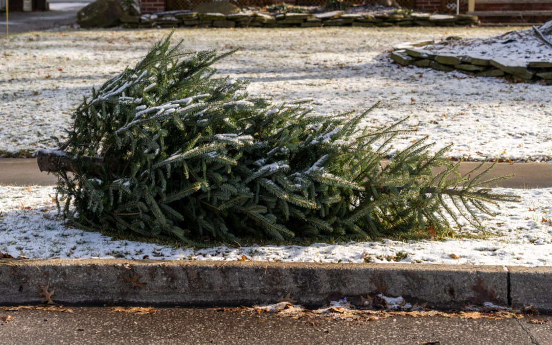 Staying connected with older loved ones after the decorations come down