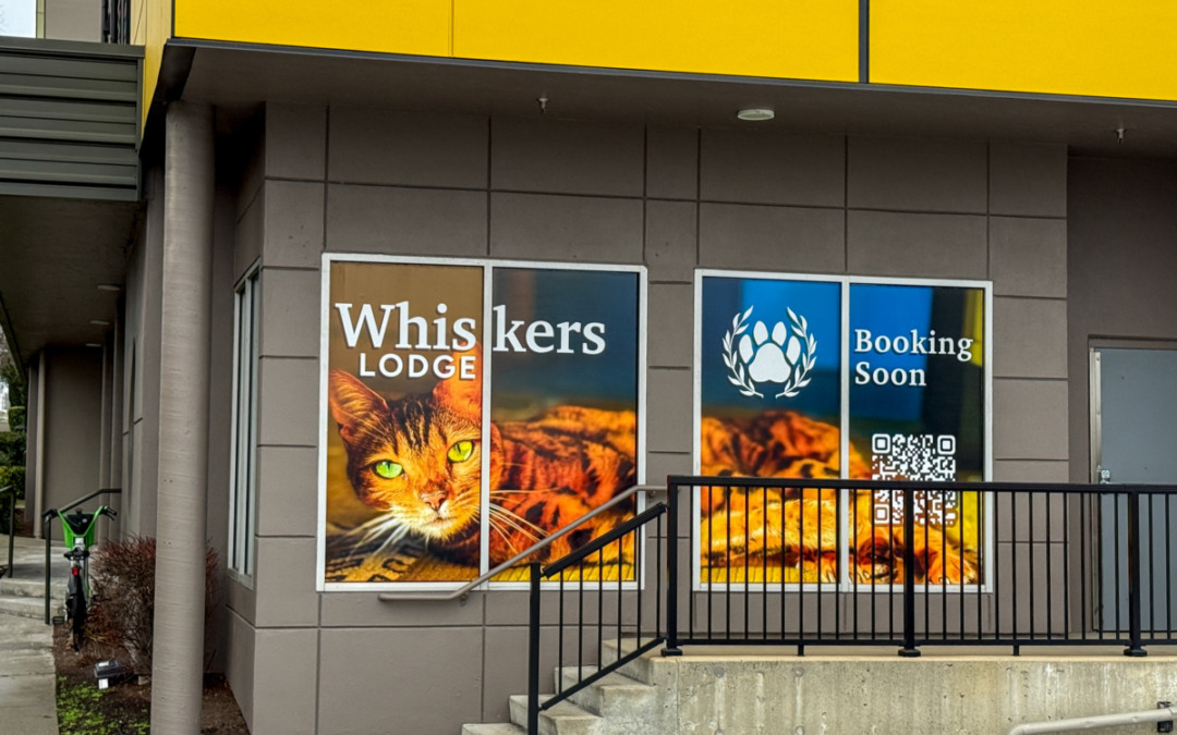 Cat-only boarding hotel Whiskers Lodge to open near PhinneyWood