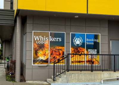 Cat-only boarding hotel Whiskers Lodge to open near PhinneyWood