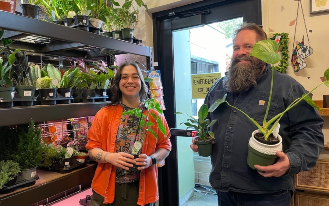 Greenwood Hardware: PhinneyWood’s go-to for unique and exotic houseplants