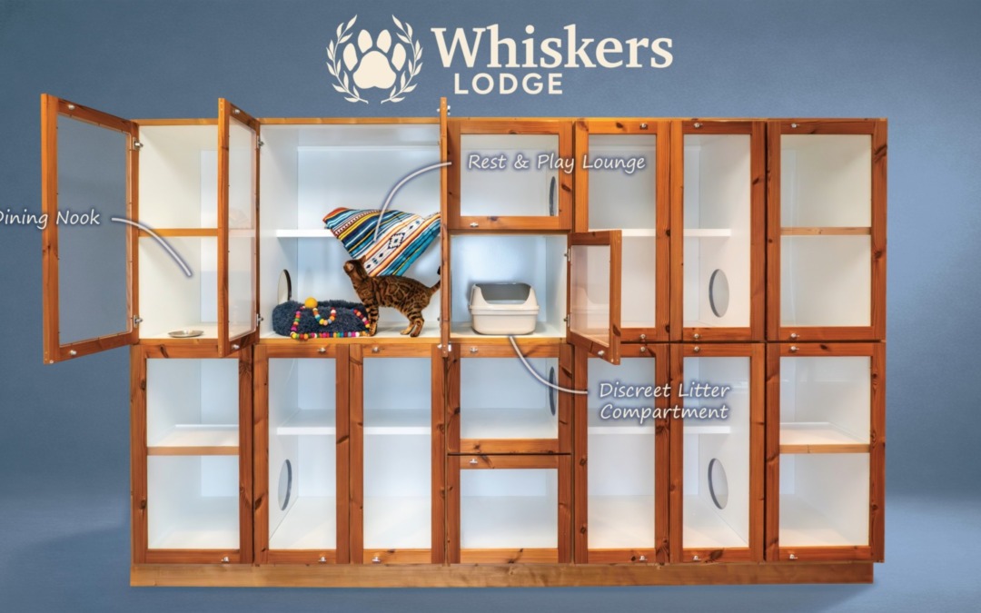 Community open house at Whiskers Lodge Cat Boarding