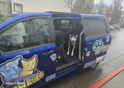 A new way to get your pets where they need to go: meet Pawride