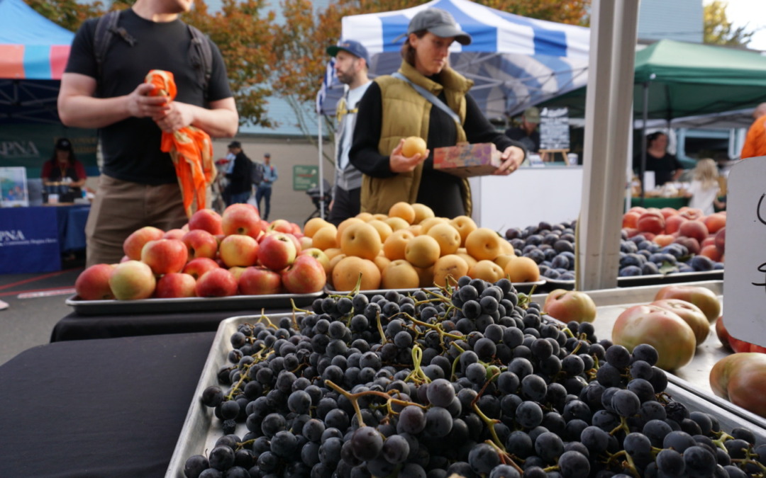 Phinney Farmers Market Returns Friday for Opening Day of the 2026 Season