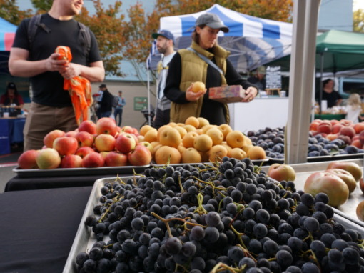 Phinney Farmers Market Returns Friday for Opening Day of the 2026 Season